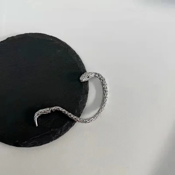 Snake Earhook Gothic Earring - Picture 4 of 7